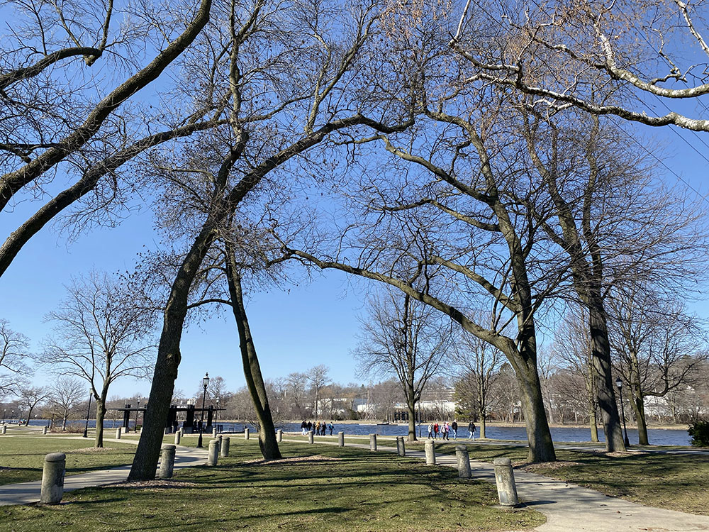 Tall, graceful trees frame a view of the Go-Hikers next to the impounded river in Frame Park.