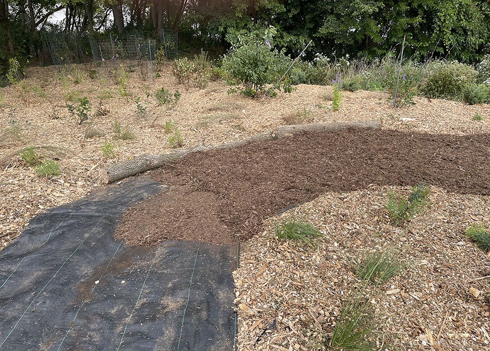 Pathway construction with lining and multi-colored mulch. Path is lined with tree logs.