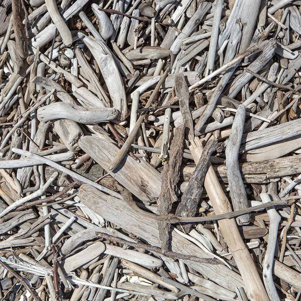 Driftwood Mosaic. Shorewood Nature Preserve, Shorewood.