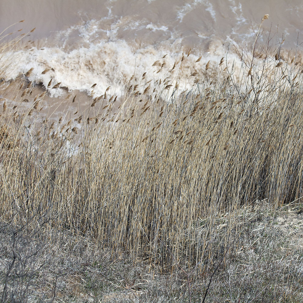 Monochrome Waves. Warnimont Park, Cudahy.