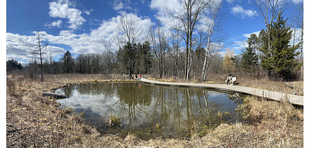 Dragonfly Pond panorama at Schlitz Audubon Nature Center