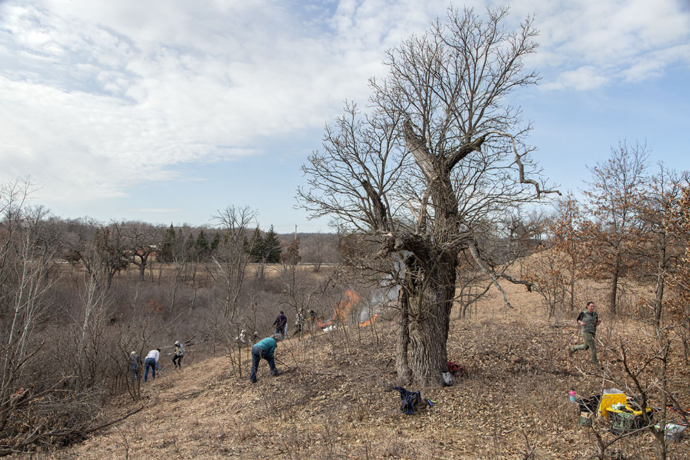 A small brush fire (middleground) begins to spread when there is an abrupt change in wind speed and direction.