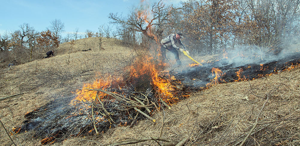 A brush fire begins to spread unexpectedly