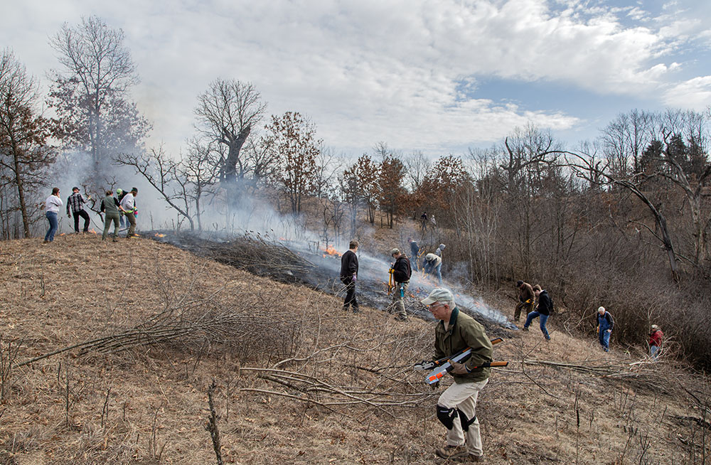 Buckthorn cutting continued all around as the fire was quickly contained.