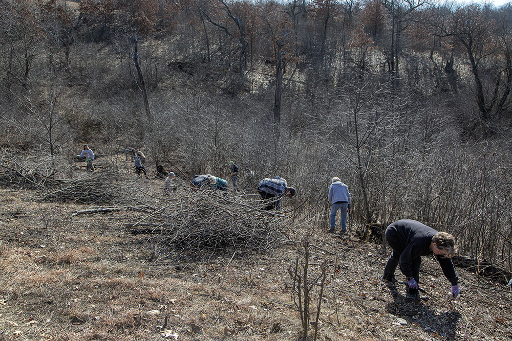 Volunteers working their way down into a ravine.