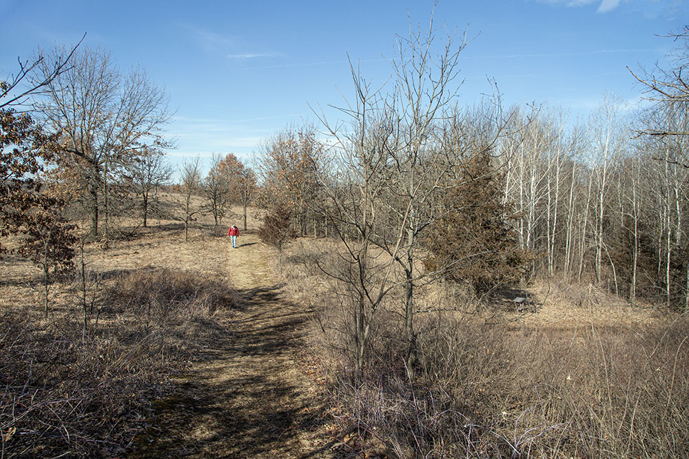 Eagle Center Prairie Preserve, a State Natural Area with a diversity of habitats.