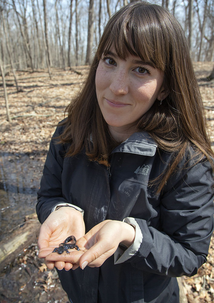 Emilie Burmeister, a Natural Areas Coordinator with Milwaukee County Parks, with a salamander found near an ephemeral pond at Falk Park.