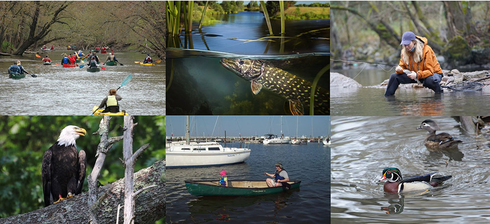 Once the dam is removed the Root River will be healthier for wildlife and recreation.