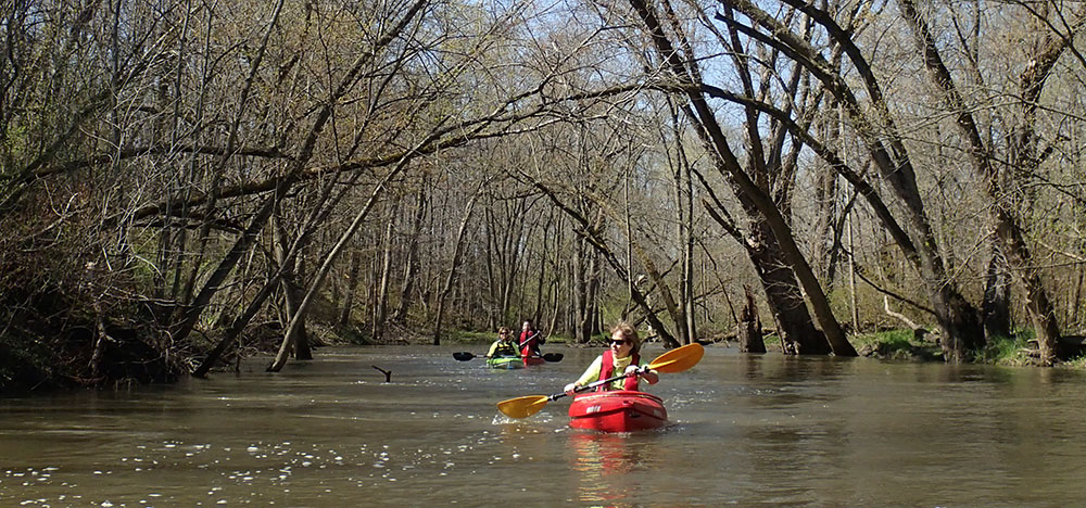 Kayaker on the Root River