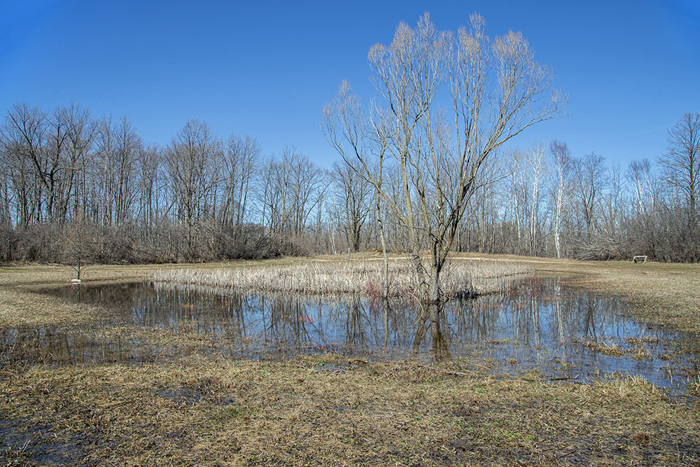 An example of a permanent isolated pond that expands in spring and has the characteristics of an ephemeral pond. Pleasant Valley Nature Park, Cedarburg.