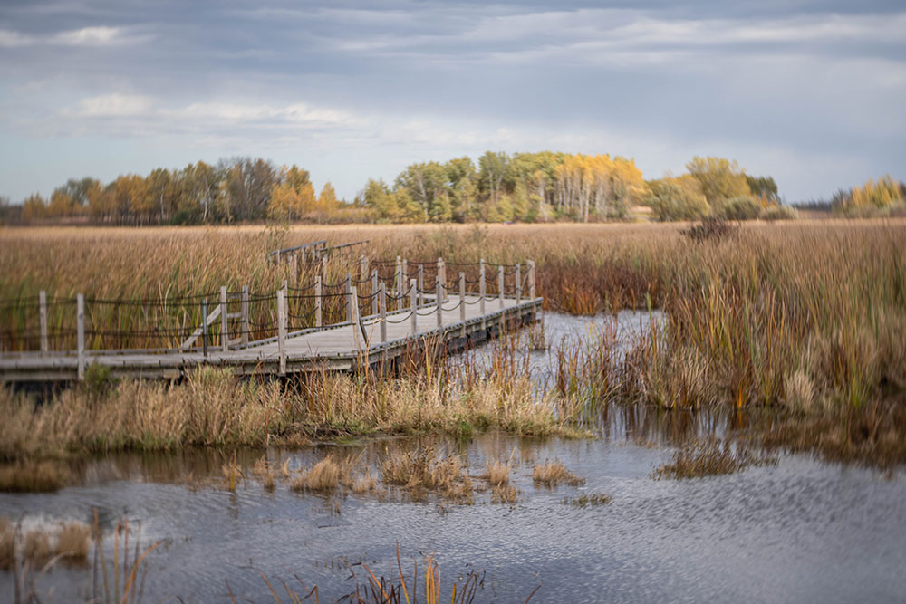 Egret Trail, Horicon Marsh National Wildlife Area.