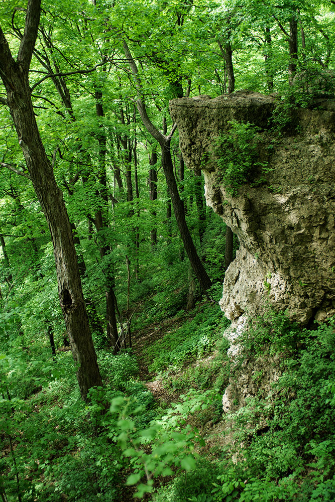 Ledge County Park, Dodge County.