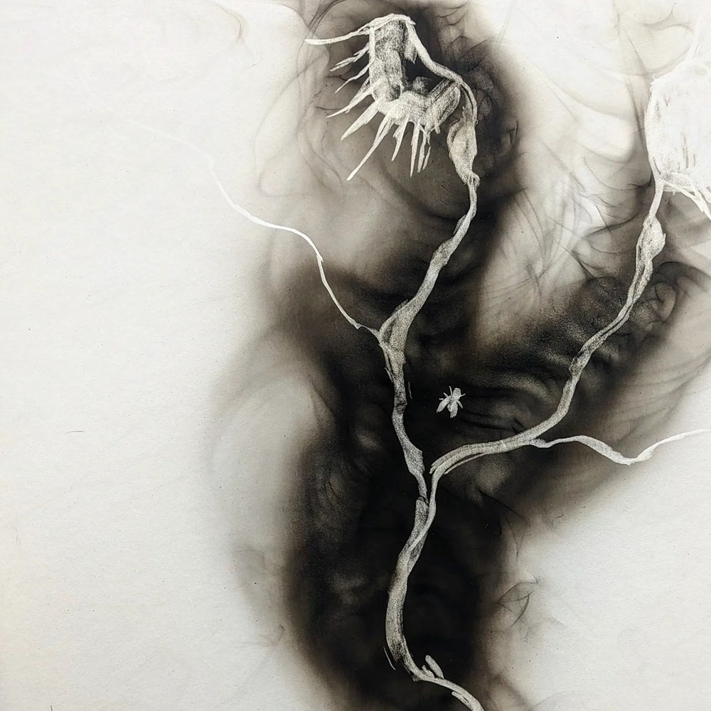 Ghost Bones, 2024 Soot on paper 16 × 20 in.