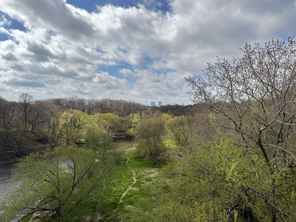 View of the towers of downtown Milwaukee, Riverside Park (left) and Gordon Park (right) from the Locust Street bridge.