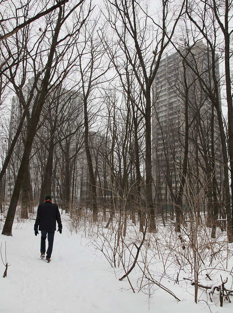 Winter makes it impossible to ignore the urban setting.