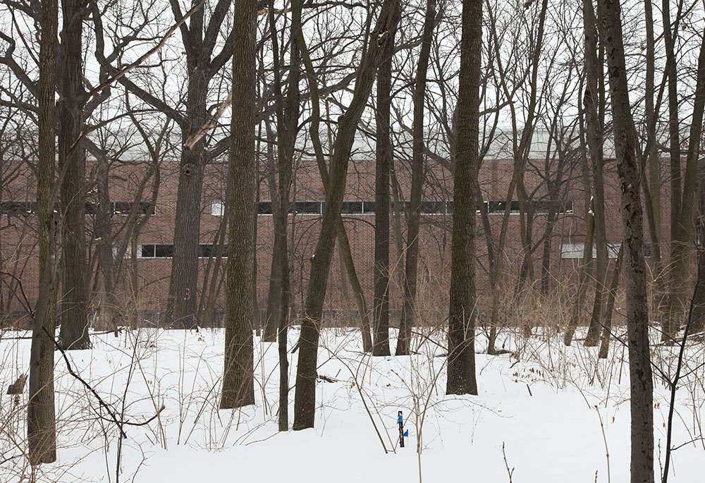 UWM's Klotsche Center seen through the trees. 