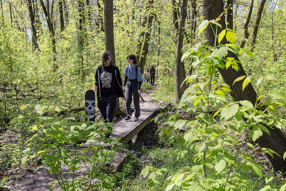 Mycological Society at UWM members cross a creek that runs through the woods.