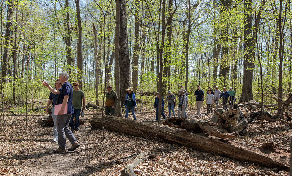 Russart leading the group through the forest.