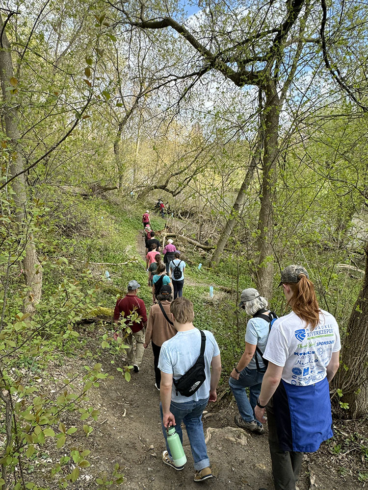 A "wild" section of the West Bank Trail in Gordon Park.