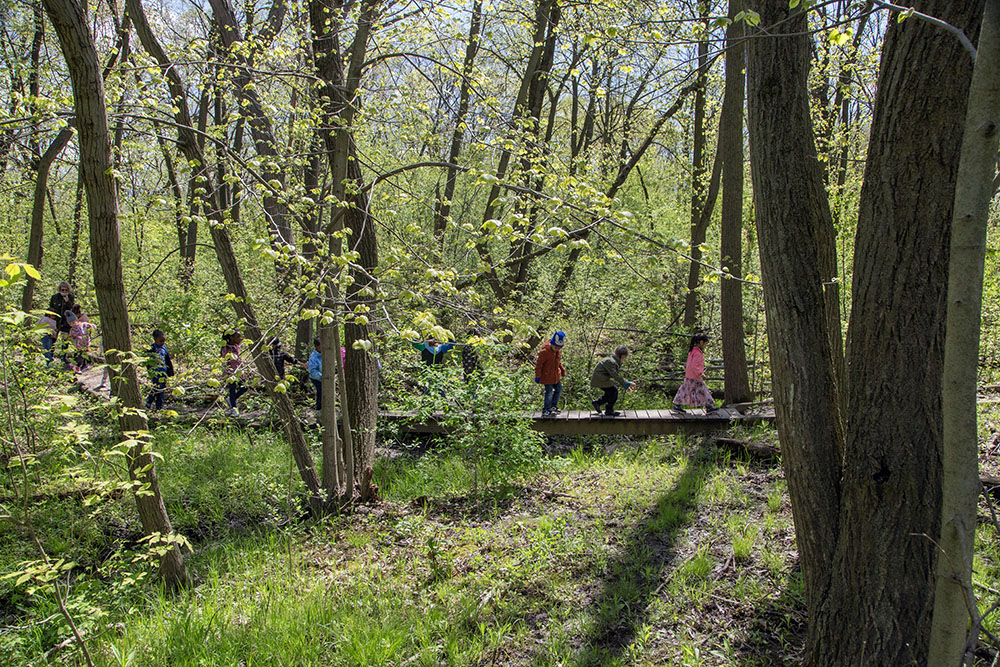 Elementary school children on a field trip in the woods.