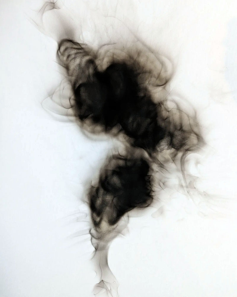 Phoenix, 2024 Soot on paper 16 × 20 in.