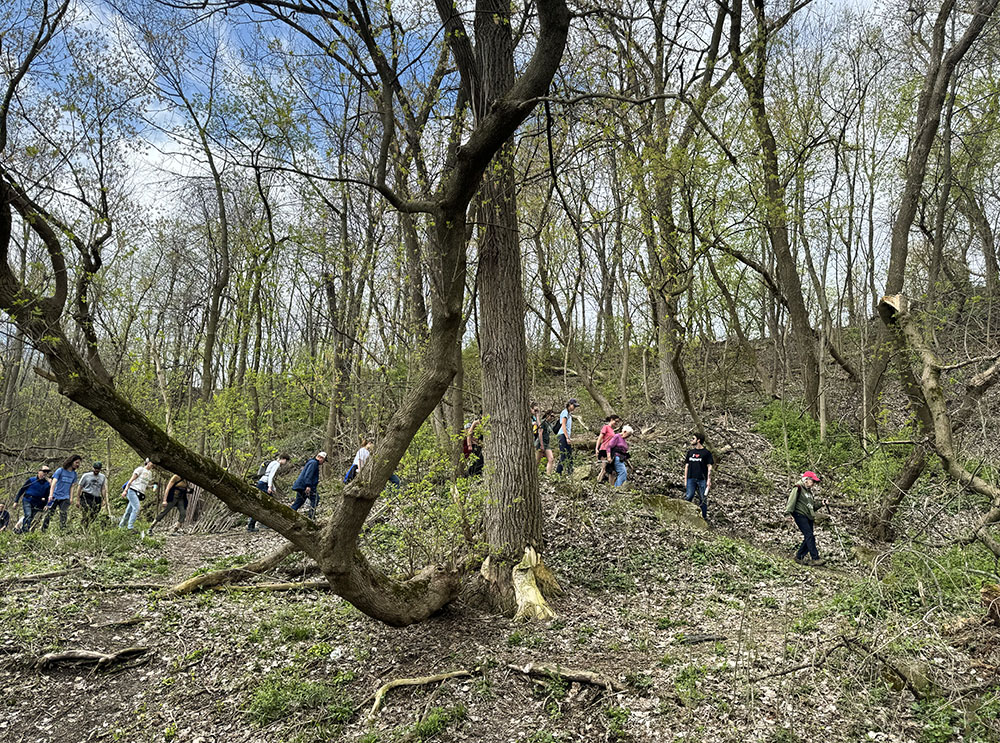 The group hiking along a rugged section of the West Bank Trail in Gordon Park.