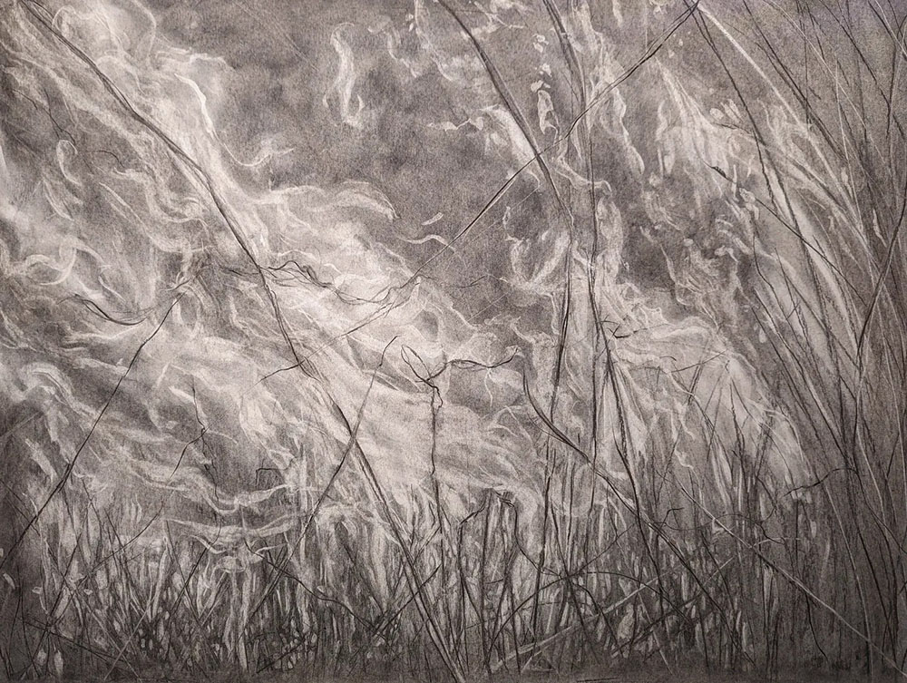 Cycles of Destruction and Regeneration, 2024 Charcoal on paper 32 x 40 in.