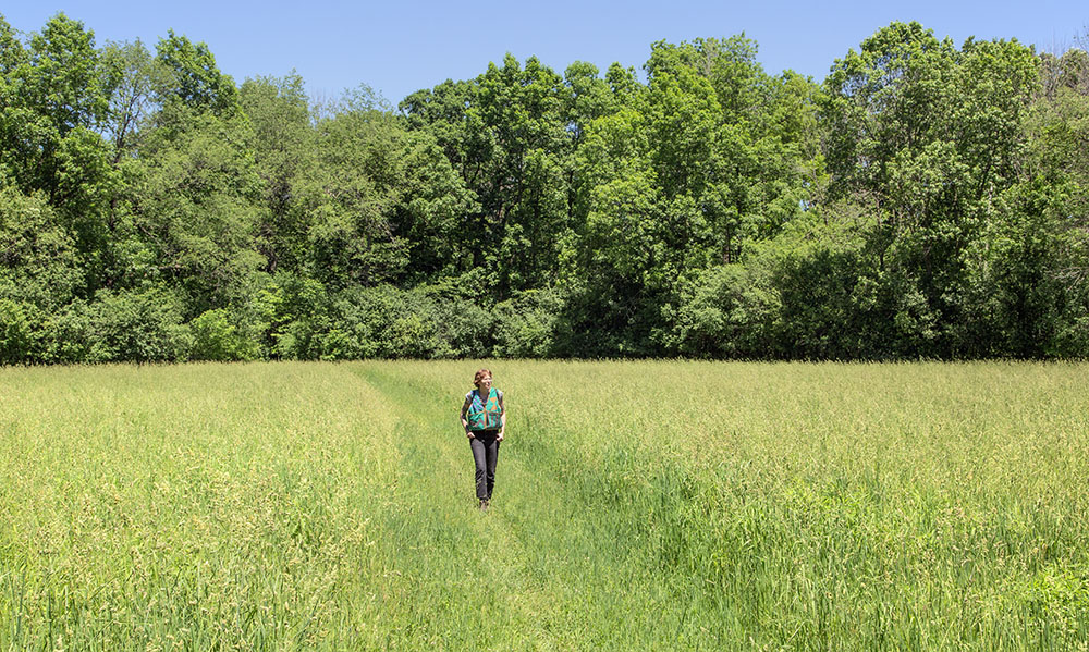 Artist in residence Amanda Tollefson on Ice Age Trail spur at Oconomowoc River Conservancy Park