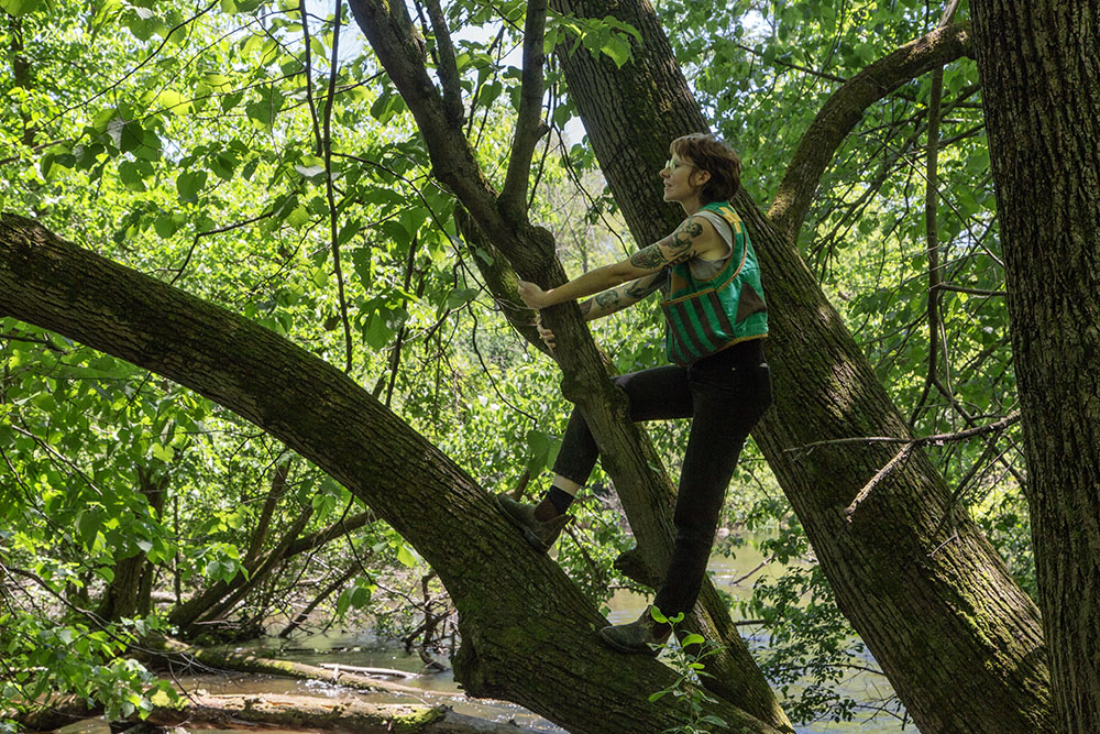 Amanda climbs a tree hanging over the river. 