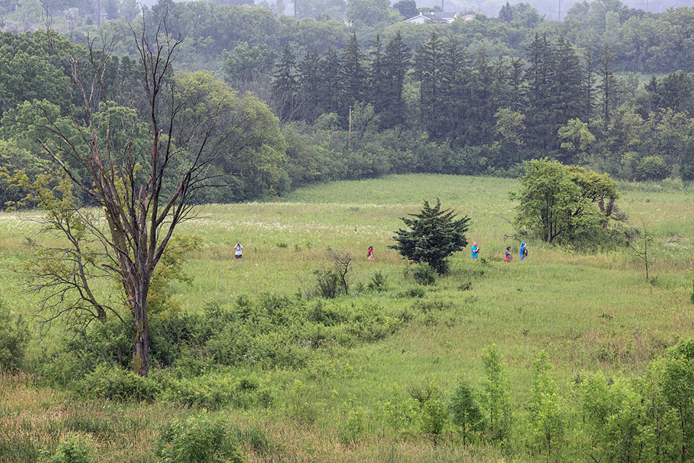 Group of birders seen from the Observation Tower.