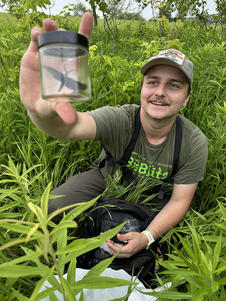 Brandon Wilson, MPM Research Assistant and Community Science Intern, holds up a Virginia Ctenucha, a type of tiger moth.