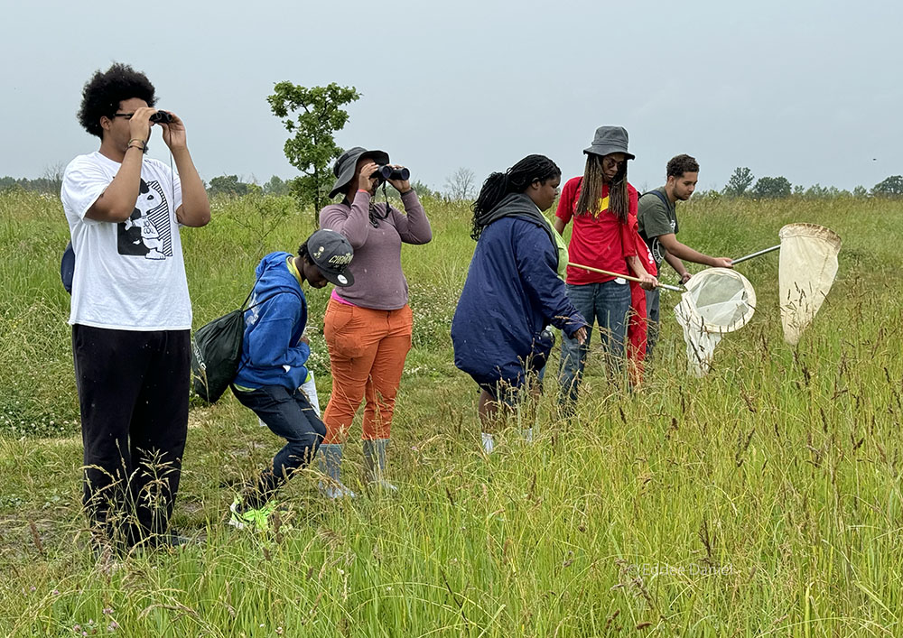 Program Director Detaya Johnson (third from left) leads a group of summer interns with Nearby Nature MKE. They contributed Closterium algae and a snail called Planorbella to the species count from water samples they collected.