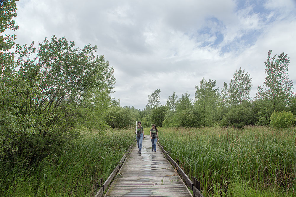 BioBlitz volunteers Ellie Wheeler and Chloe Lang cheerfully make their way across the boardwalk at Paul's Pond in the Mequon Nature Preserve.