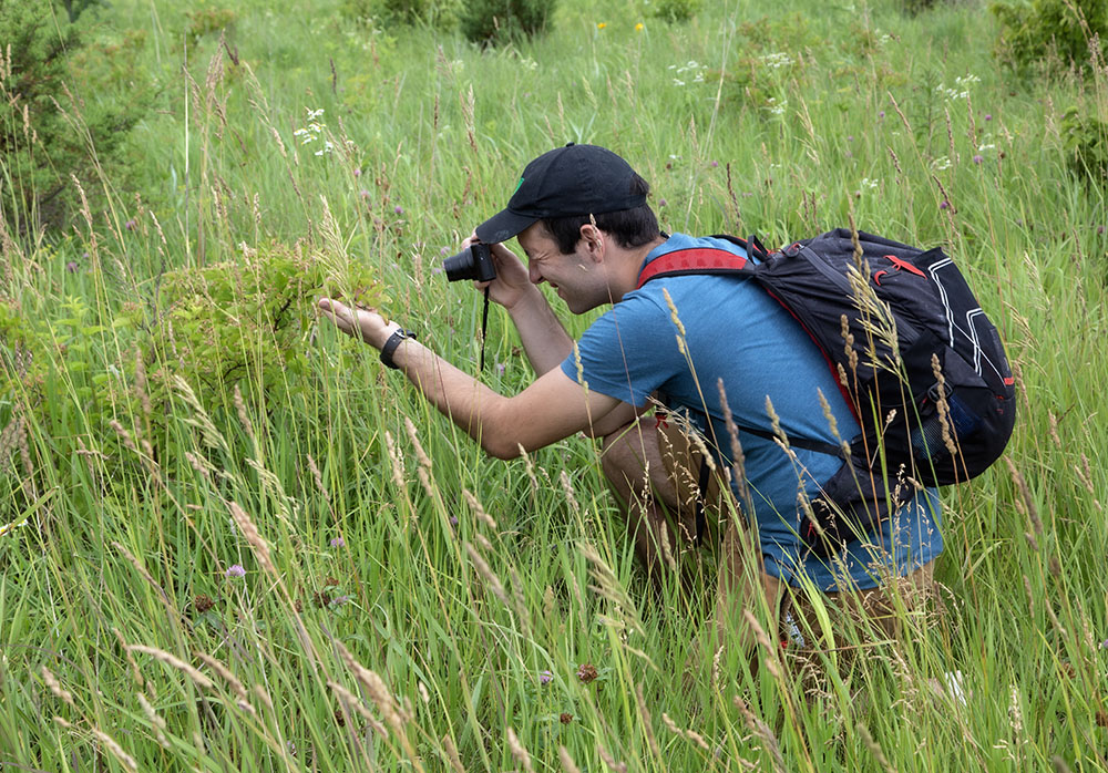 Eric Schmidt, with the Marquette U. Lemoine Lab, photographs a shrub in the Ribes genus of plants.