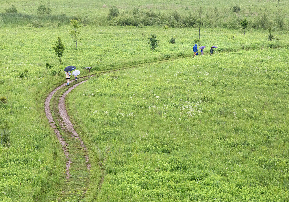 A family that came prepared with umbrellas making their way across a prairie.