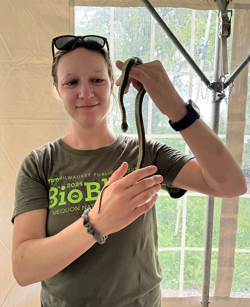 MPM's Kat Sullivan holds up a live garter snake brought into the tent from the field.