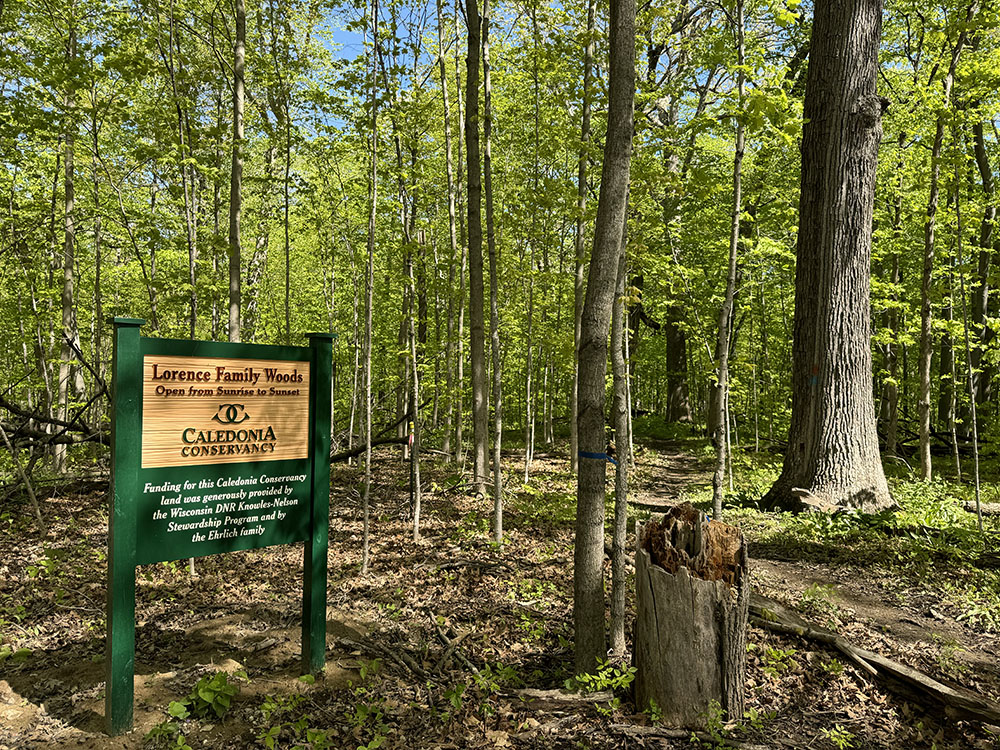 The Lorence Family Woods is a seven acre-parcel recently added to the Short Road Trailhead property.