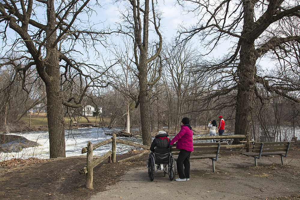 The mature oaks shading this popular overlook on the west bank of the river at the Kletzsch Park Dam would have been removed and the bluff excavated in the initial fish passage proposal, which was later scrapped when the east bank alternative became available. 2020.