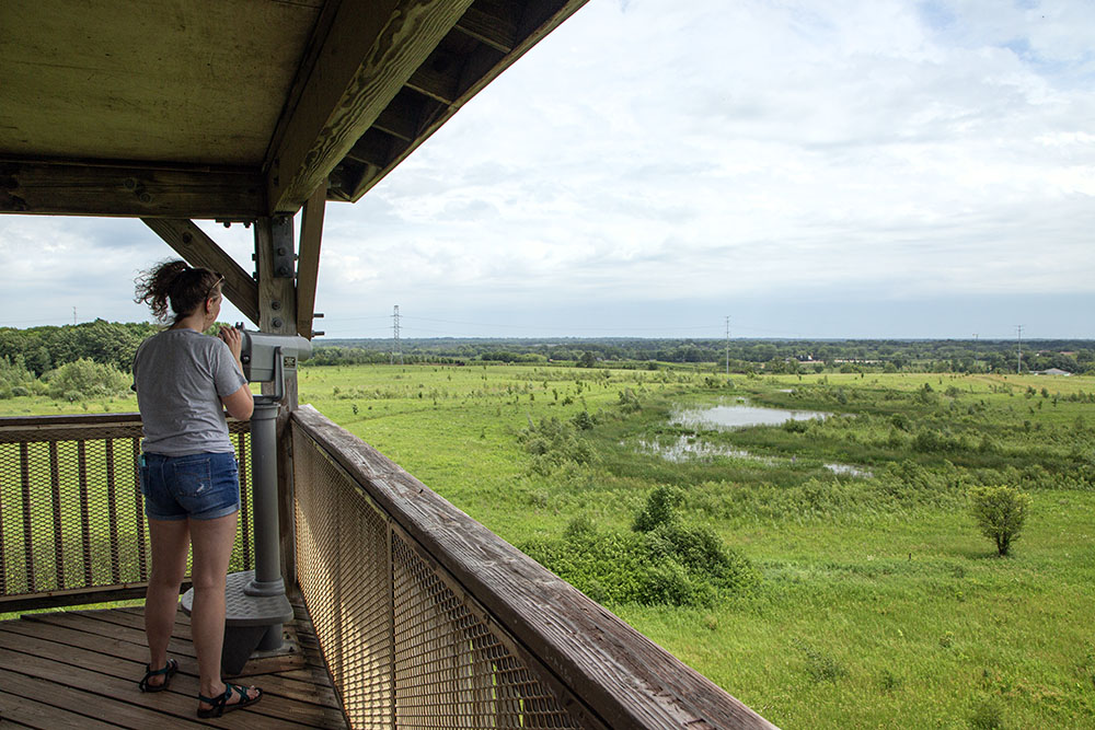 Viewing wetlands and prairie from the Observation Tower.