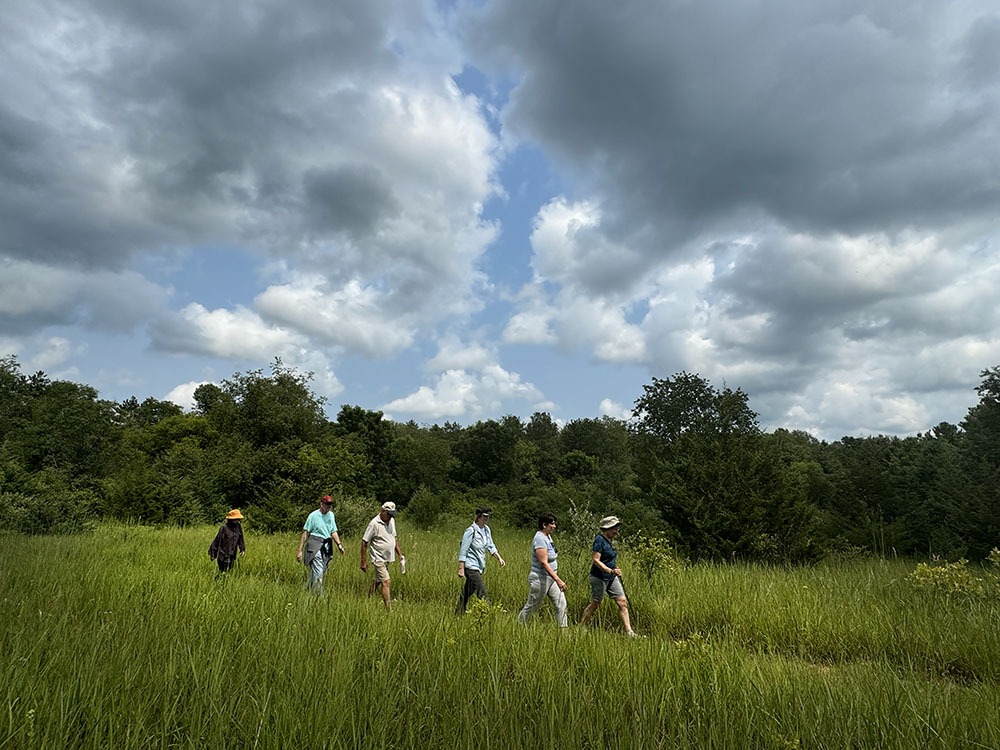 A break in the clouds spotlights a group of Urban Wilderness Explorers at Wadewitz Nature Park in Waterford.