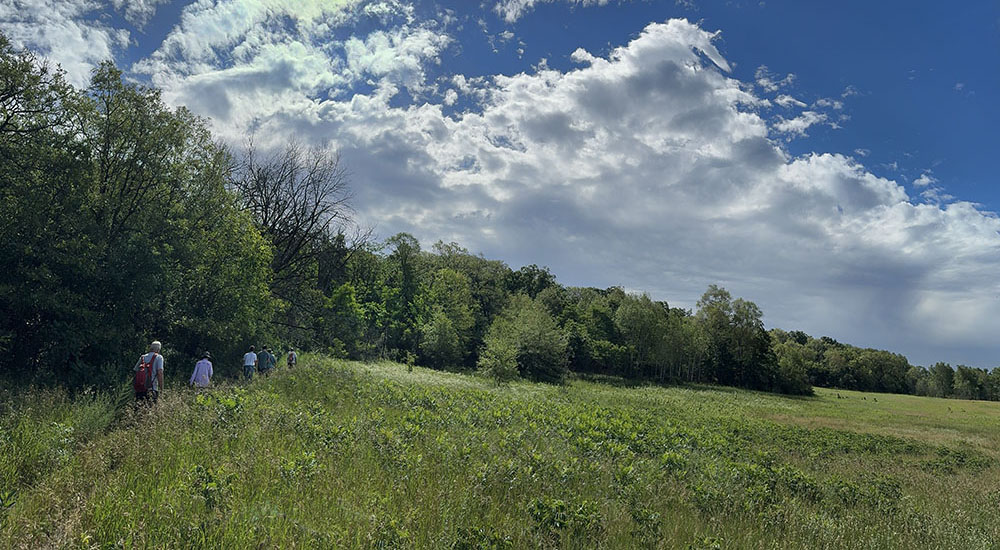 A group of hikers organized by project partner Schlitz Audubon Nature Center heads up the Bald Bluff Trail, just one of many in the sprawling Southern Unit of the Kettle Moraine State Forest.