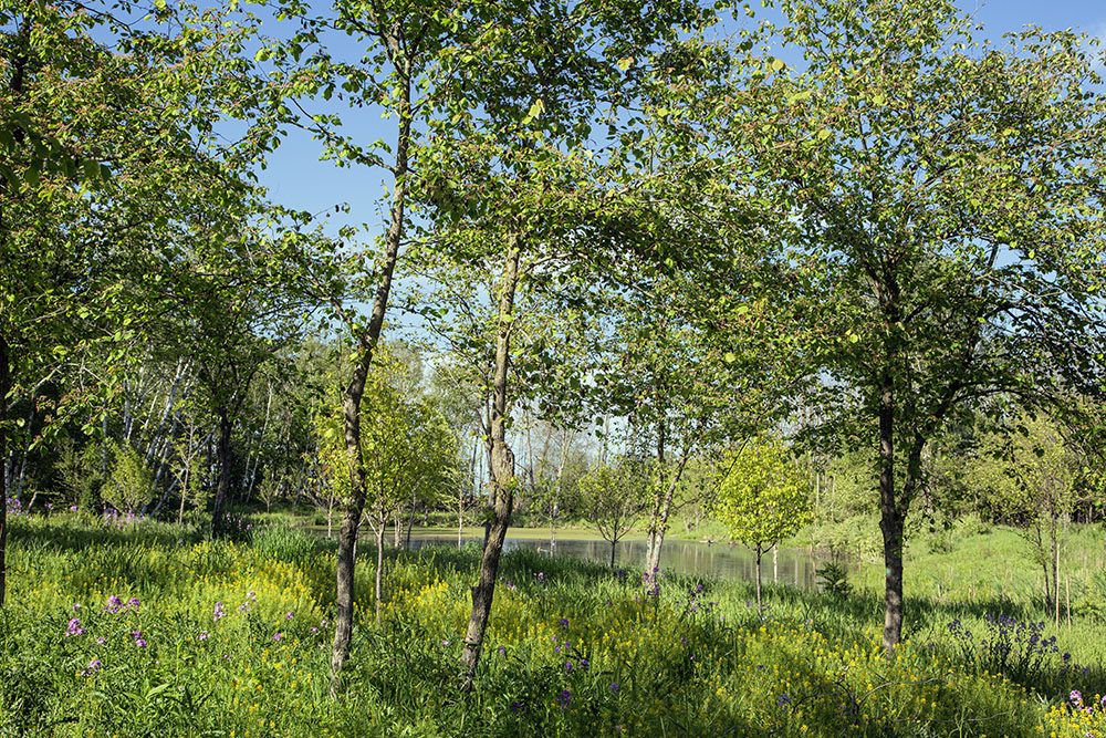 A lot of clearing of invasive species has been done recently, opening up new viewpoints at Birchwood Hills Preserve in Port Washington.