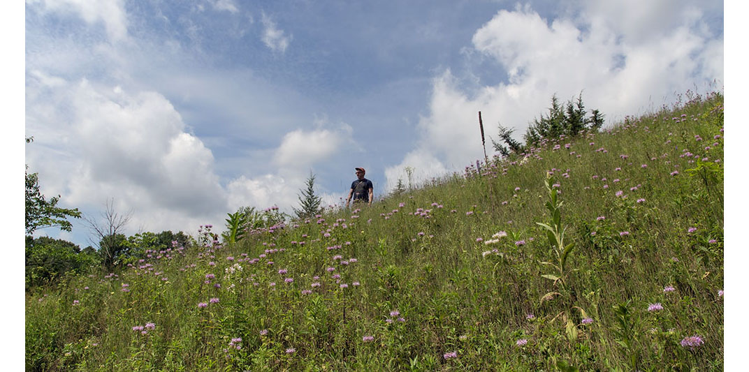 Artist in Residence Craig Grabhorn on the slope of a kame at Biehl Nature Preserve