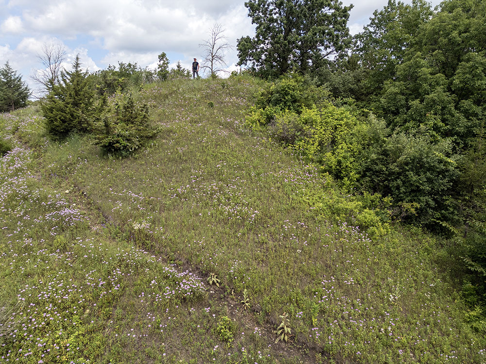 Craig Grabhorn standing on top of the kame at Biehl Nature Preserve. 