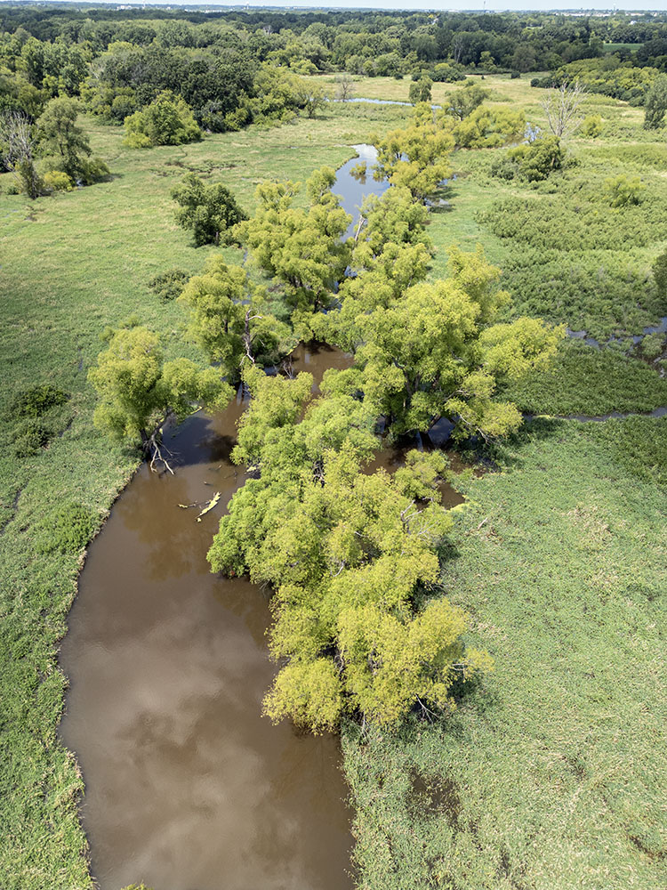 The Des Plaines River, bulging with flood waters, runs through Jerome Creek Nature Center in Pleasant Prairie.