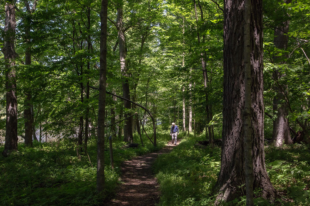 John Fatica taking in the woodland all around. 