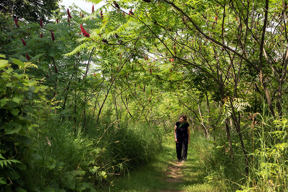 The sumac trail. 