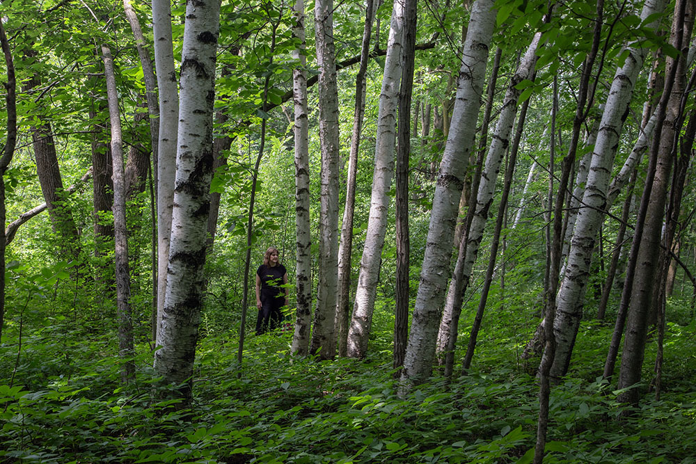 Jordan Anderson in a birch grove at Huiras Lake State Natural Area. 