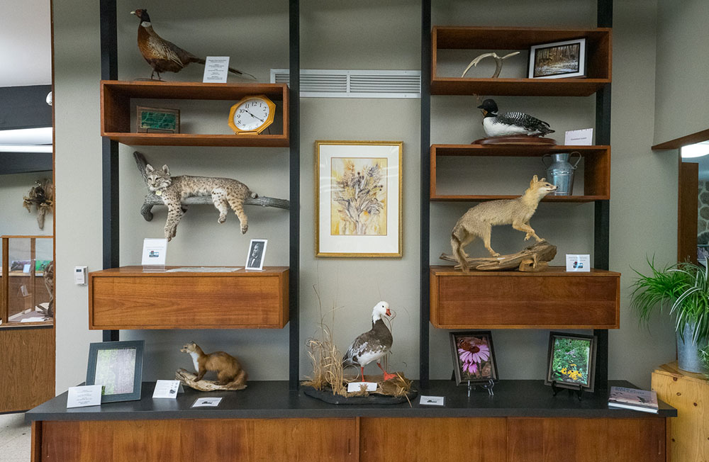 The entrance to the main exhibit area at the Hausmann Nature Center features local wildlife.