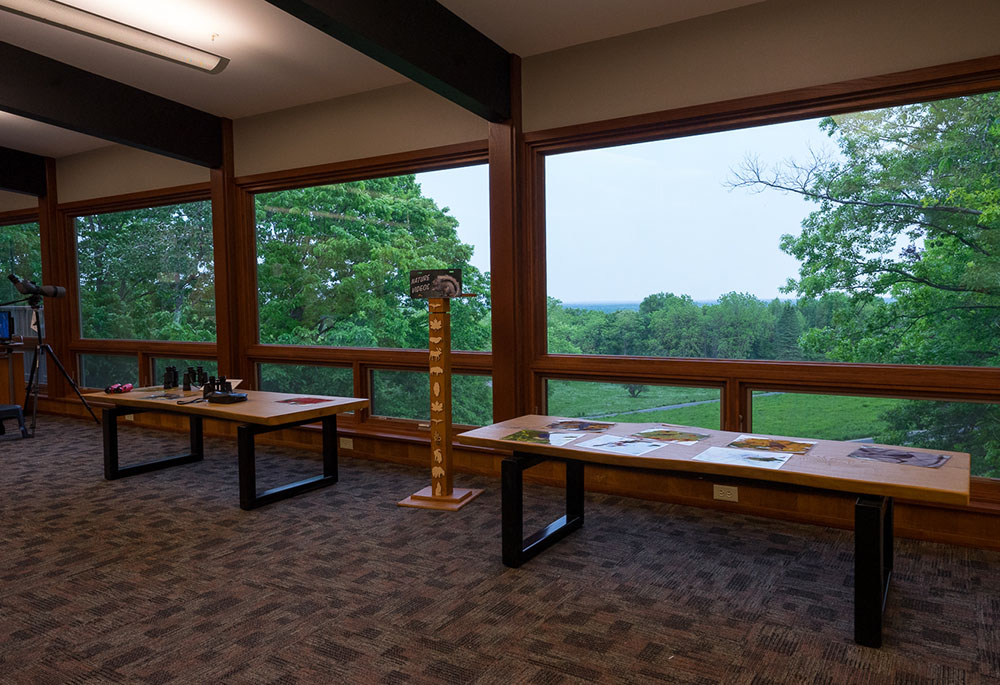 The view from the Hausmann Nature Center is spectacular.